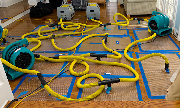 Professional Sewage Cleanup technician working in Girard, OH
